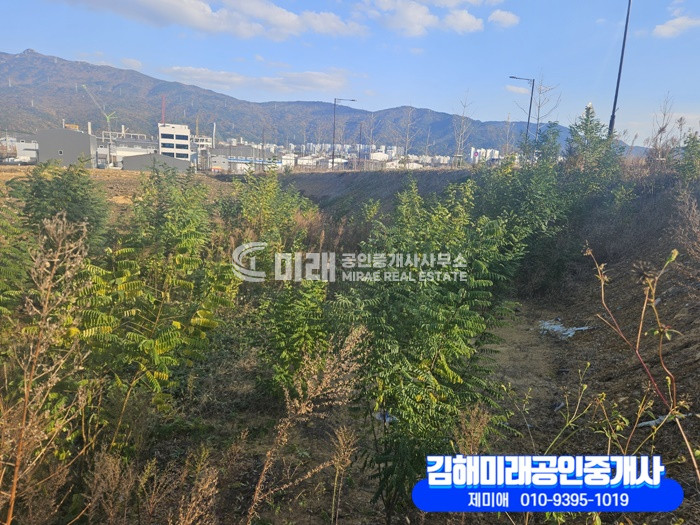 경남 김해시 대동면 월촌리 김해시 대동면 토지매매 매매 매물번호 10029 사진 5
